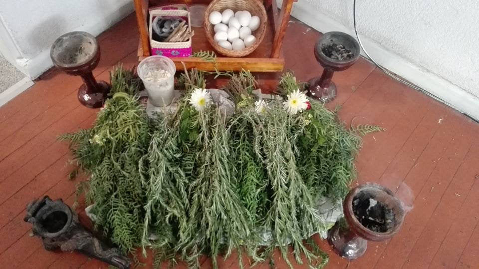 Medicina Tradicional Mexicana: Full Day Workshop 10/07