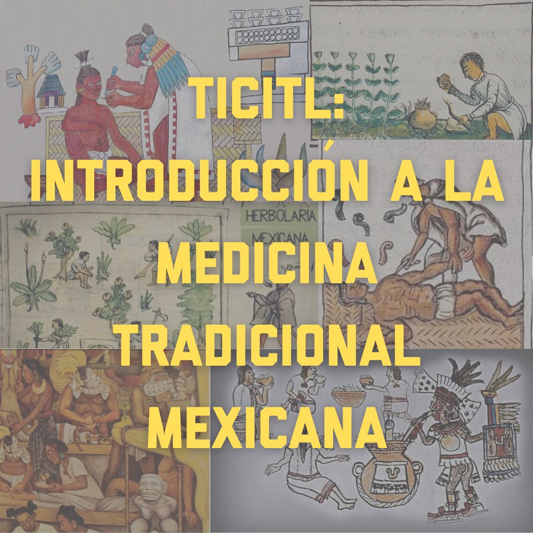 Medicina Tradicional Mexicana: Taller de día completo 9/16